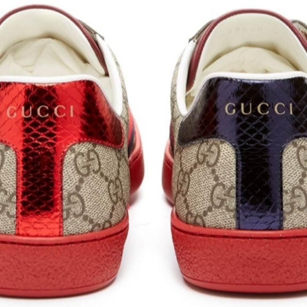 Gucci ace